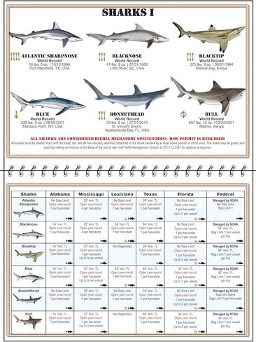 Gulf of Mexico | Gulf of America Saltwater Fish Identification Chart w/Rules, Regulations, Limits, & Sizes. 150 + Fish & Shark Photographs; Texas, Mississippi, Alabama, Louisiana Fishing ID Guide in Saudi Arabia