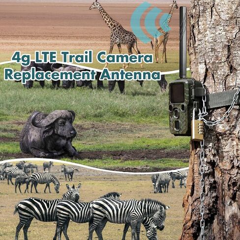 4 قطعة 4 جرام واي فاي هوائي الخلوية كاميرا تعقب تكشف 4 جرام LTE كاميرا تعقب هوائي استبدال مع Rp-SMA ذكر مجداف in Saudi Arabia
