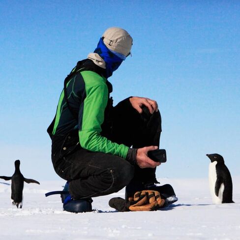 YAPJEB Ice Cleats Crampons Ice Snow Grips 19 24 Spikes Traction Snow Grips Anti Slip Snow Cleats for Shoes Boots in Kuwait