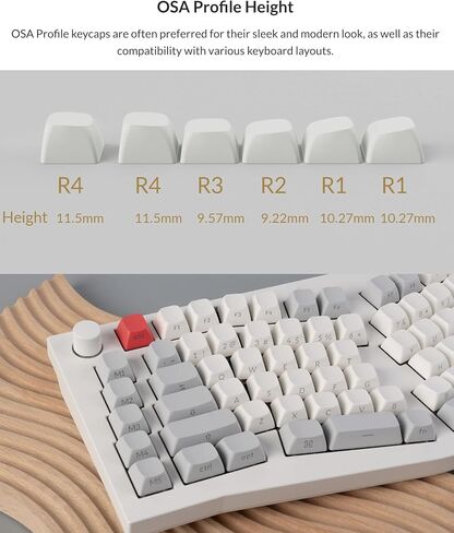 مجموعة غطاء مفاتيح Keychron OSA Profile Double-Shot PBT مطبوعة جانبية، 141 مفتاحًا، متوافق مع MX Stem، إضاءة خلفية لامعة - تناسب ANSI 60%/65%/75%/TKL/96%/100% تخطيطات - أبيض in Saudi Arabia