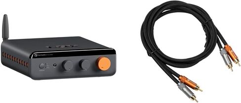 Fosi Audio BT20A MAX مضخم طاقة ستيريو، 300 وات × 2 مضخم صوت هاي فاي مع تقنية PFFB + كابل Fosi Audio 2RCA إلى 2RCA بطول 3.9 قدم، مطلي بالذهب 2 RCA ذكر إلى 2 RCA in Kuwait