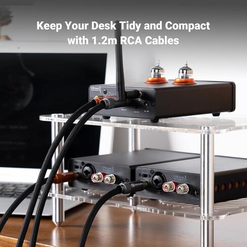 Fosi Audio BT20A MAX مضخم طاقة ستيريو، 300 وات × 2 مضخم صوت هاي فاي مع تقنية PFFB + كابل Fosi Audio 2RCA إلى 2RCA بطول 3.9 قدم، مطلي بالذهب 2 RCA ذكر إلى 2 RCA in Kuwait
