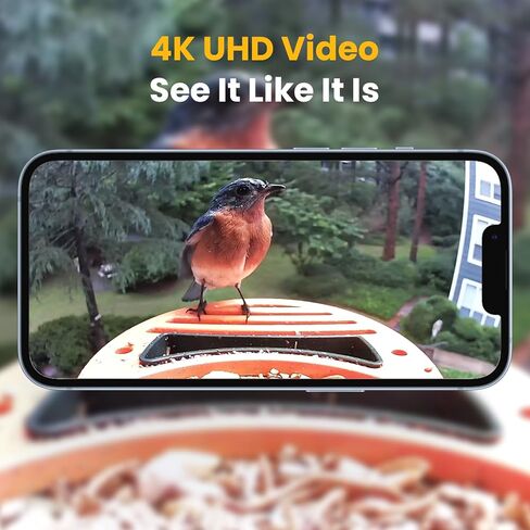 64GB TF Card, No Cloud Subscription Needed Anymore, Ideal for Bird Feeder Camera, Up to 4K Bird Video Recording, Full HD, Up to100MB/s, U3, V30, A1, High-Speed TF Card in Saudi Arabia