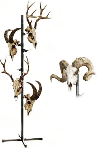 حامل الكأس بطول 6 أقدام، شجرة الكأس القابلة للتعديل، جبل جمجمة الغزلان الأوروبي، حامل شماعات جمجمة من الصلب شديد التحمل، تعليق يصل إلى 6 قرون جماجم التحنيط، حامل عرض مع خطافات، أسود in Kuwait