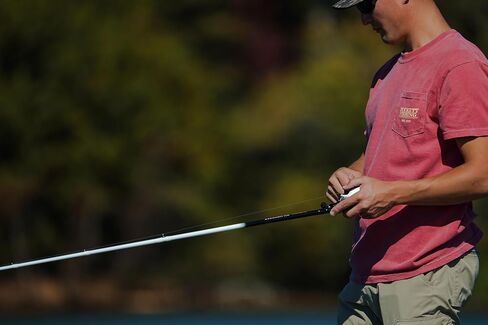 دوكيت الصيد صورة ظلية الغزل وقضبان الصب in Kuwait