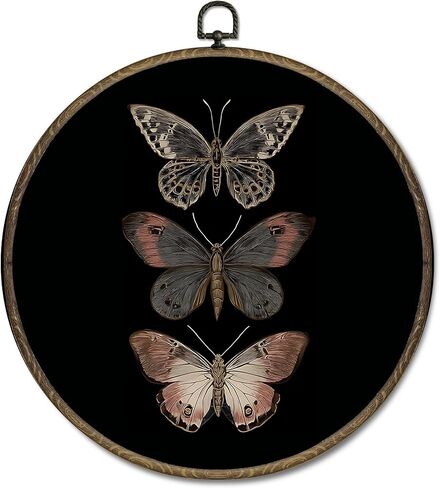 OINDADE خمر Moody Moth البيضاوي جدار الفن الديكور، الظلام الأكاديمية فراشة جدار الفن شنقا ديكور، فانوس ضوء Cottagecore العث الحشرات مؤطرة قماش العمل الفني لغرفة المعيشة غرفة نوم، 8.8x11.5in in Kuwait