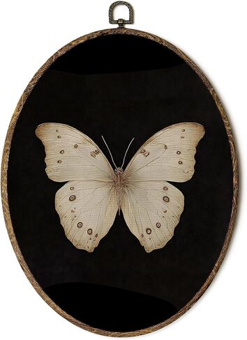 OINDADE خمر Moody Moth البيضاوي جدار الفن الديكور، الظلام الأكاديمية فراشة جدار الفن شنقا ديكور، فانوس ضوء Cottagecore العث الحشرات مؤطرة قماش العمل الفني لغرفة المعيشة غرفة نوم، 8.8x11.5in in Kuwait