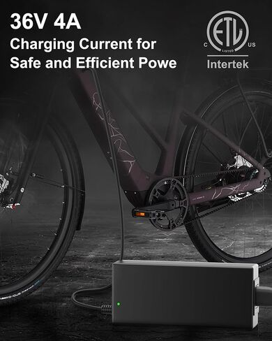 VHBW 4A Standard eBike Charger for Bosch eBike System 2 (BES2)，Replacement Power Supply with Oval Plug, Compatible with Active/Performance Line, PowerPack & PowerTube Batteries, Model BCS220 in Saudi Arabia