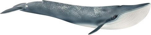 Schleich Wild Life Setariance Blue Whale تمثال - لعبة حيوانات مائية أصيلة ومفصلة للغاية ، متينة للتعليم واللعب الممتع ، مثالية للبنين والبنات ، الذين تتراوح أعمارهم بين 3+ in Saudi Arabia