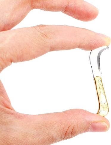 الجدة حزمة صغيرة صندوق القاطع أدوات سكين فتاحة ، المسرات الشرقية 2 بوصة EDC في الهواء الطلق 3 قطعة طقم أدوات سكين قابلة للطي in Kuwait