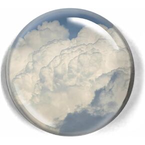 LWAY Paperweight 80mm(3.1 inch) Crystal Dome (CARP)