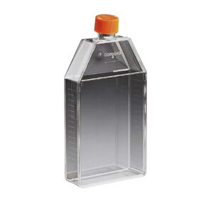 Corning 3292 Polystyrene 250mL Rectangular CellBIND Angled Neck Polystyrene Cell Culture Flask with Vent Cap (Case of 50)