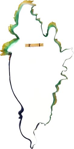 Design Toscano Butterfly Wings Masks of Venice Wall Sculpture, 13 Inch, Polyresin, Full Color in Saudi Arabia