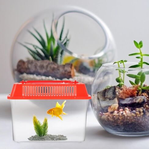 POPETPOP Betta Fish Tank Betta Fish Tank Mini Fish Tank - Portable Handheld Plastic Fish Tank Transparent Breeding Carrier Goldfish Pet Reptile Habitat Portable Jump Starter Fish Bowl in Saudi Arabia
