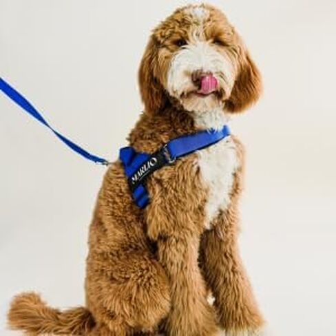 Marlio Adjustable Dog Harness - Stop Pulling, Ensure Comfort, and Style with Easy-On, Unique Prints and Matching Leashes Available - Medium, Tan Checkered in Saudi Arabia