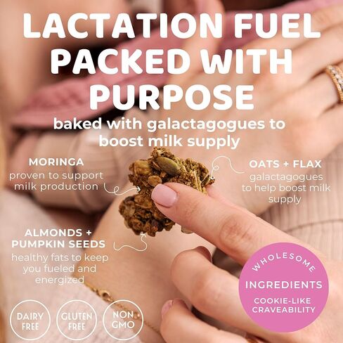 The Hampton Grocer Lacnola Lactation Granola, 2 pack - Healthy Granola for Breastfeeding Moms to Increase Milk Supply | Made from a Galactagogue Superfood Blend with Oats, Flax, Moringa, Almonds, Pumpkin Seeds & Coconut | Lactation Support, Lactation Snac in Saudi Arabia