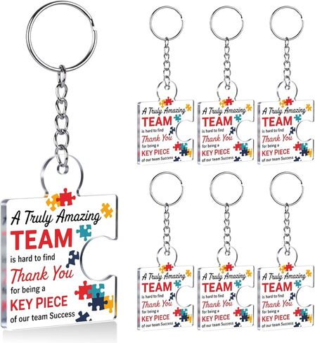 Team Appreciation Gifts for Coworkers Employee, Set of 12 Bulk Cheer Gifts Best Team Christmas Gift for Staff Colleagues Teacher Volunteer Nurse Acrylic Puzzle Piece Keychains in Saudi Arabia