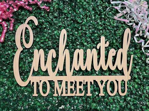 مسحور لمقابلتك لافتة للخلفية، لافتة خشبية لحفلة استحمام الطفل للترحيب بالطفل، استحمام الطفل تكشف عن الجنس لوازم زينة الحفلات للأولاد والبنات in Kuwait