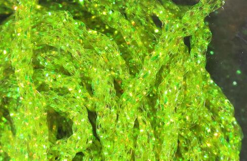 Hareline Fly Tying Dyed Pearl Diamond Braid – Pearl Flash Braid for Streamers, Nymphs, Steelhead & Salmon Flies in Saudi Arabia