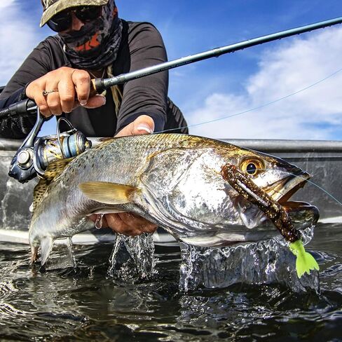 KastKing Destron Essential Monofilament Fishing Line, Advanced Polymer Coating for High Abrasion Resistance, Super Smooth, High Strength, Low Memory Mono Line, Fresh and Saltwater Fishing in Saudi Arabia