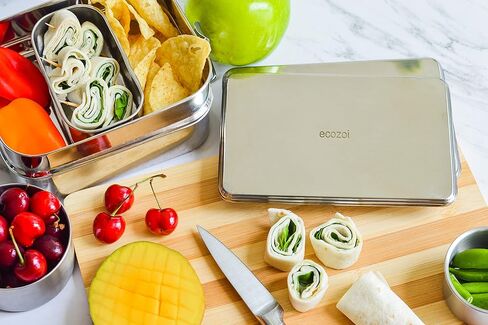 ecozoi Stainless Steel Lunch Chillers - Ice Packs for Lunch Bags, Lunch Boxes, Bento Boxes and Coolers in Saudi Arabia