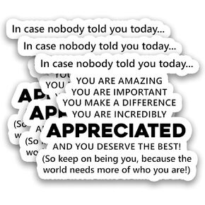 (3Pcs) in Case Nobody Told You Today You are Amazing & Appreciated Stickers Motivational Inspirational Encouraging Quote Vinyl Decals for Laptop, Water Bottle, Journal, Planner, 3" x 2.3" in Saudi Arabia
