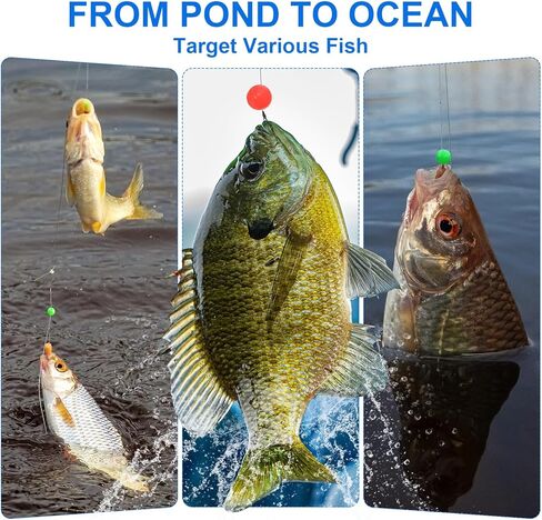 Fishing Beads Glow Hard Plastic Fishing Bait Eggs Lure Rigs Accessories, Fit for Saltwater Freshwater - Round in Saudi Arabia