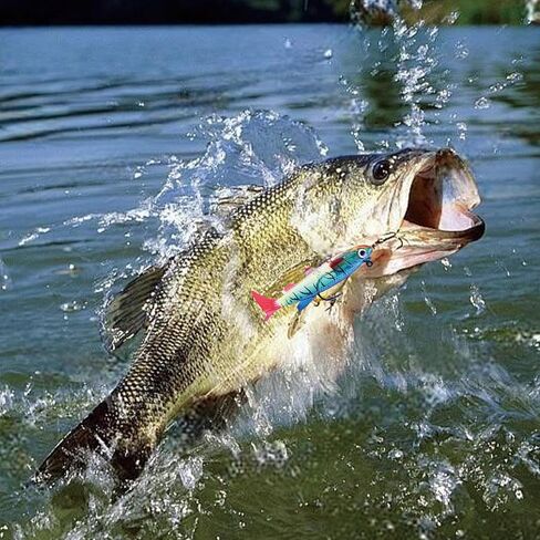 5 PCS Fishing Lures Fishing Gear Sets Soft Plastic Baits Weighted Bionic for Fishing Accessories Durable Swimbait in Saudi Arabia