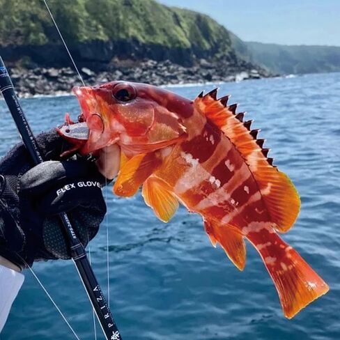5 PCS Fishing Lures Fishing Gear Sets Soft Plastic Baits Weighted Bionic for Fishing Accessories Durable Swimbait in Saudi Arabia