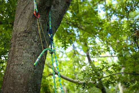 Notch Rope Logic 11.7 m x 5 ft. Banshee Adj Friction Saver with Large & Small Aluminum Wear-Safe Rings, Individually Serialized, Compatible with Rope Style Bridges, MBS: 30kN (64103) in Saudi Arabia