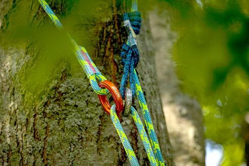 Notch Rope Logic 11.7 m x 5 ft. Banshee Adj Friction Saver with Large & Small Aluminum Wear-Safe Rings, Individually Serialized, Compatible with Rope Style Bridges, MBS: 30kN (64103) in Saudi Arabia