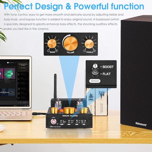 HiFi Bluetooth 5.0 Vacuum Tube Amplifier + Matched GE JAN 5654W Tubes Bundle | 320W Phono Amp for Turntables w/Tube Upgrade | Audiophile Sound Enhancement in Saudi Arabia