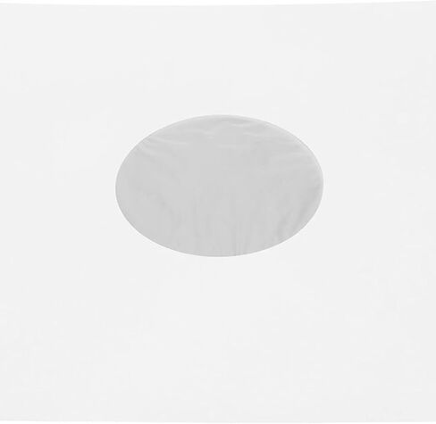 Qiilu Archival Quality Record Protection Sleeves - 20 Pcs 12 Inch Durable Outer Sleeves for Valuable Collection - High Protection Bags in Saudi Arabia