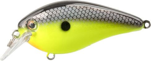 Strike King (HCKVD1.5E-432) KVD Elite 1.5 Squarebill, Shallow-Running Crankbait, Silent Hunting Action, 3/8-Ounce, Dives 3 to 6-Feet, Size 4 Mustad Triple Grip Treble Hooks, Chartreuse Baitfish in Saudi Arabia