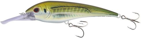 Nomad Design DTX Minnow 180 Heavy Duty Trolling Lure - Saltwater Fishing Lure,Autotune System,High Speed 18+ Knot Performance,Minnow Lure Saltwater Dives 10-12ft,Squall Runner Series for Big Pelagics in Saudi Arabia