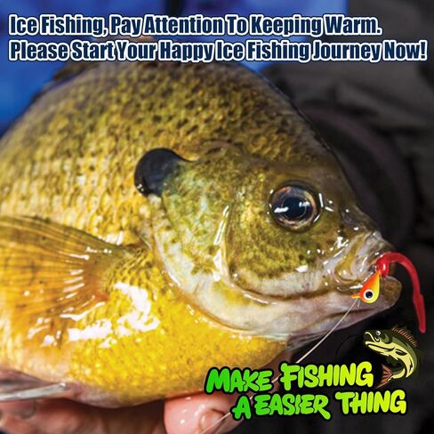 مجموعة أدوات صيد الأسماك على الجليد مع صندوق صلب، 5 أنماط من رؤوس الرقص المتوهجة للكرابي، والعين رمادية فاتحة اللون، والجثم، والبانفيش. مجموعة متميزة مكونة من 30 قطعة بعيون ثلاثية الأبعاد - هدية وأدوات صيد الأسماك على الجليد المحمولة in Kuwait