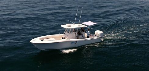 6.5 × 5.5 أسود SS100 حامل قضيب واحد ستيرن قارب مركز وحدة التحكم ظل الشمس in Kuwait
