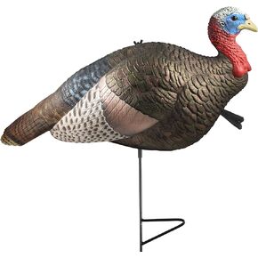 The Grind Half Strut Jake Decoy, Realistic Jake Turkey Decoy with 2-Piece Motion Stake