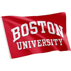 Desert Cactus Boston University Flag Terriers BU Flags Banners 100% Polyester Indoor Outdoor 3x5 (Style 1)