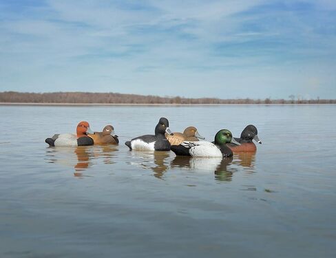 Higdon Outdoors Standard Diver Pack Duck Decoys, Foam-Filled in Saudi Arabia