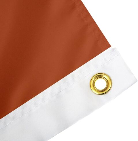 لافتات علم جامعة تكساس الصحراوية ذات القرون الطويلة UT Austin أعلام 100% بوليستر للاستخدام الداخلي والخارجي 3×5 (النمط 2) in Saudi Arabia