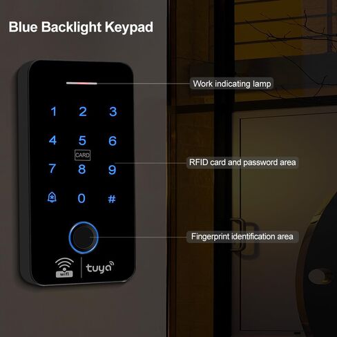 تتضمن مجموعة نظام التحكم في الوصول WiFi Tuya لوحة مفاتيح IP68 مقاومة للماء لبصمات الأصابع، وقفل باب بمزلاج كهربائي معدني لوضع NC، و10 مفاتيح RFID بتردد 125 كيلو هرتز، ومصدر طاقة 12 فولت 3 أمبير، وزر خروج. in Kuwait
