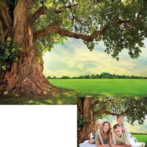 Binqoo Spring Tree Backdrop 7x5ft Spring Nature Green Grassland Photo Photo Picnic Kids Choors Outdoor Travel Portraits Studio Pross in Kuwait