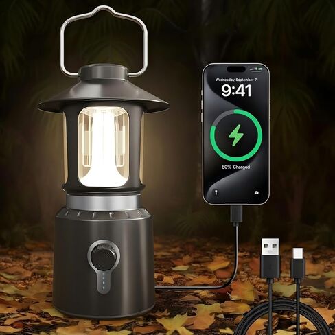 Camping Lantern Rechargeable, 8000mAh Power Bank, Telescopic Camping Lights with 360° Lighting, Dual Light Source, 3 Light Modes (2000K-6500K) Tent Lights for Hurricane Emergency, Hiking (Silver) in Kuwait
