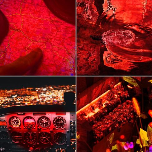 2 حزمة ضوء أحمر مصباح يدوي وضع واحد أحمر LED مصباح يدوي وضع واحد زوومابلي ضوء الليل الشعلة لعلم الفلك الطيران والمراقبة الليلية in Kuwait