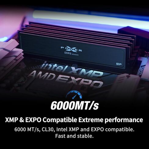 Silicon Power Value Gaming DDR5 32GB (2x16GB) 6000MT/s (PC5-48000) 288-pin CL30 1.35V UDIMM ذاكرة الوصول العشوائي المكتبية ذاكرة الكمبيوتر SU032GXLWU60AFDJEC in Kuwait