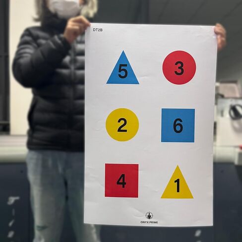 12 حزمة من أهداف تدريب القيادة التقديرية - 35 × 23 بوصة، مجموعة من 3 أنماط (DT2A، DT2B، DT2C) لتدريبات الرماية المتقدمة وإنفاذ القانون والدفاع الشخصي in Kuwait