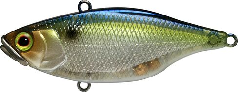 Jackall TN70 Bait in Saudi Arabia