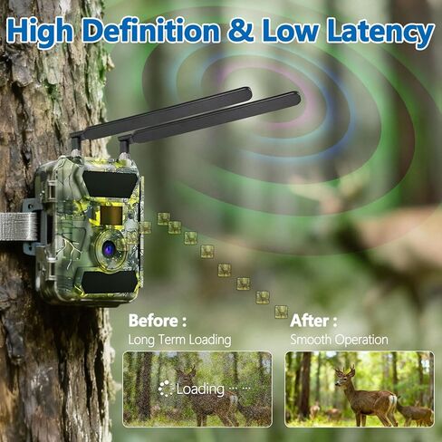4G LTE Antenna 6dBi SMA Male Antenna (2-Pack) for 4G LTE Cellular Trail Camera Wireless Router Hotspot Gateway Modem Spypoint Flex-S Dark Flex-Plus Flex-M G-36 Flex Dual-Sim Cell-Link in Saudi Arabia
