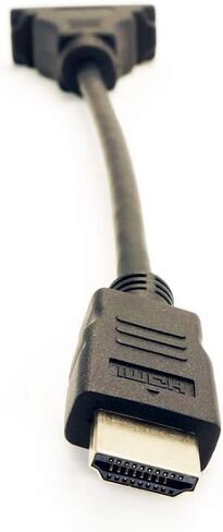 منتجات VisionTek محول HDMI إلى DVI-D (M/F) - 900744 in Saudi Arabia